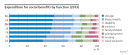 Ausgaben für Sozialleistungen nach Funktion